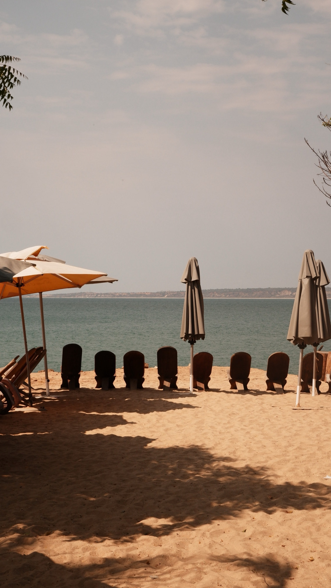 Row of wooden beach chairs facing the water